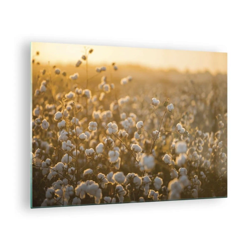 Impression sur verre - Image sur verre - Champ de coton au coucher du soleil - 70x50cm - Champ moelleux - Décoration murale moderne pour le salon et la chambre ARTTOR