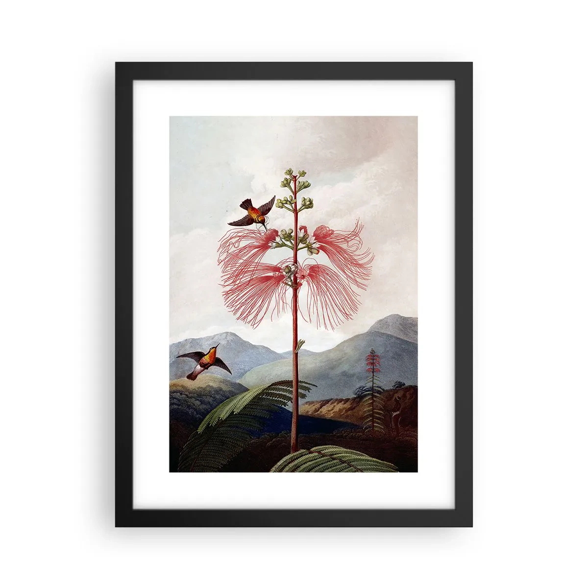 Affiche dans un cadre noir - Poster - Dans un paradis tropical - 30x40 cm