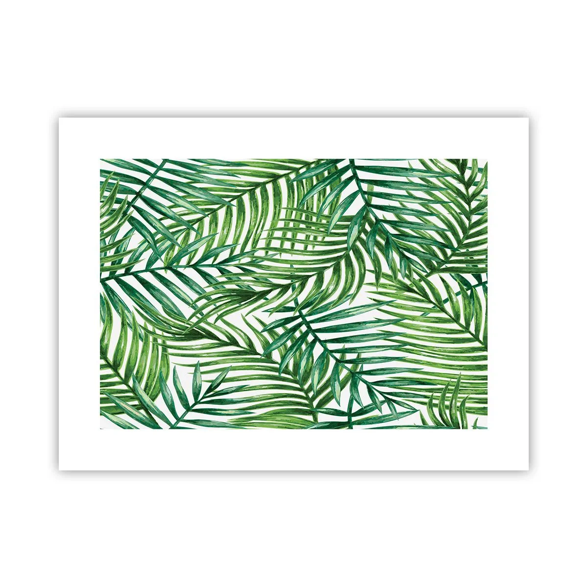 Affiche - Poster - Sous la canopée verte - 40x30 cm