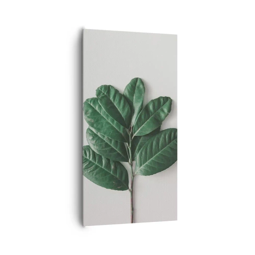 Impression sur toile - Image sur toile - Dessin de la nature elle-même - 65x120 cm