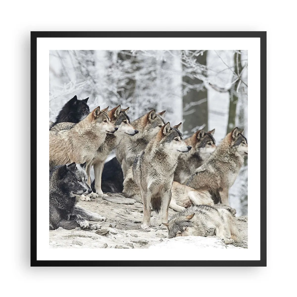 Affiche dans un cadre noir - Poster - Famille et amis - 60x60 cm