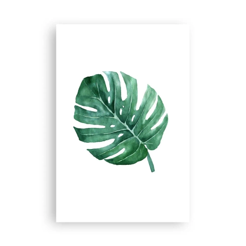 Affiche - Poster - Concept vert - 61x91 cm