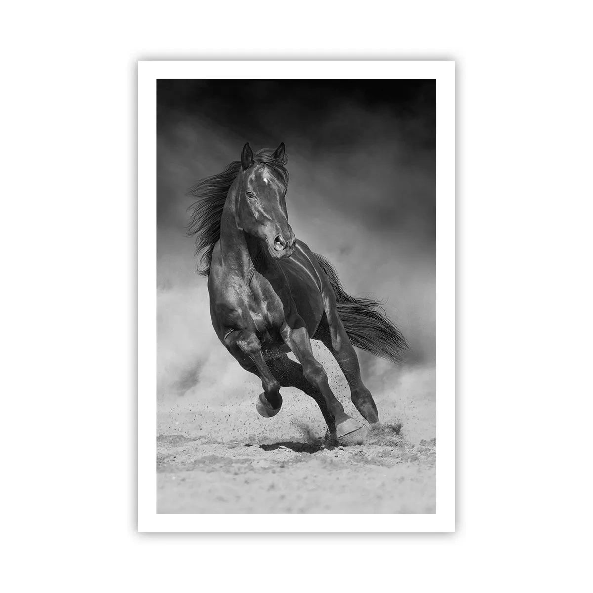 Affiche - Poster - Digne de l'émir lui-même - 61x91 cm