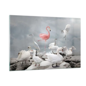 Impression sur verre - Image sur verre - Un flamant rose parmi des cygnes blancs et des hérons contre l'eau - 120x80cm - Comment suis-je arrivé là? - Décoration murale moderne pour le salon et la chambre ARTTOR