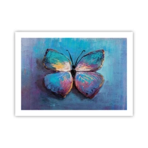 Affiche - Poster - Dans toute sa splendeur - 70x50 cm