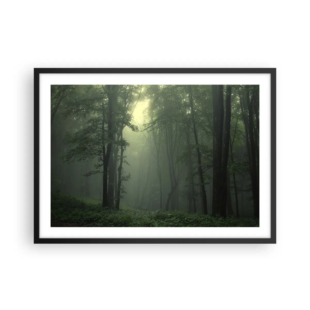 Affiche dans un cadre noir - Poster - Une forêt verte le matin enveloppée d'un brouillard délicat - 70x50cm - Avant qu'il ne se réveille - Décoration murale moderne pour le salon et la chambre ARTTOR