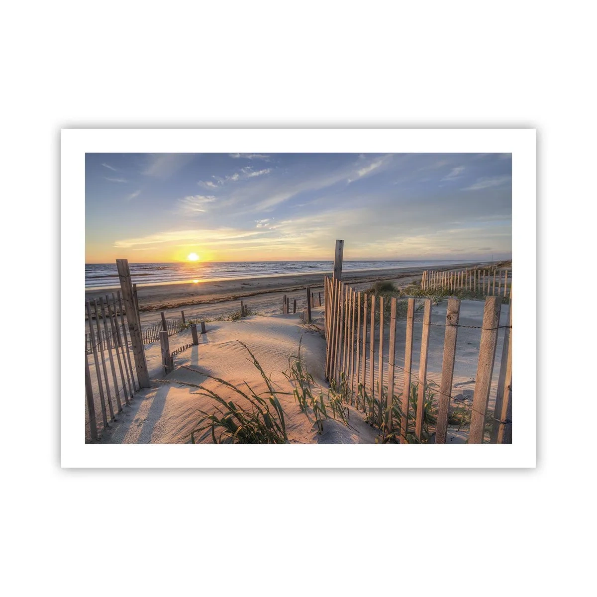 Affiche - Poster - Ombre et brillance du vent - 70x50 cm