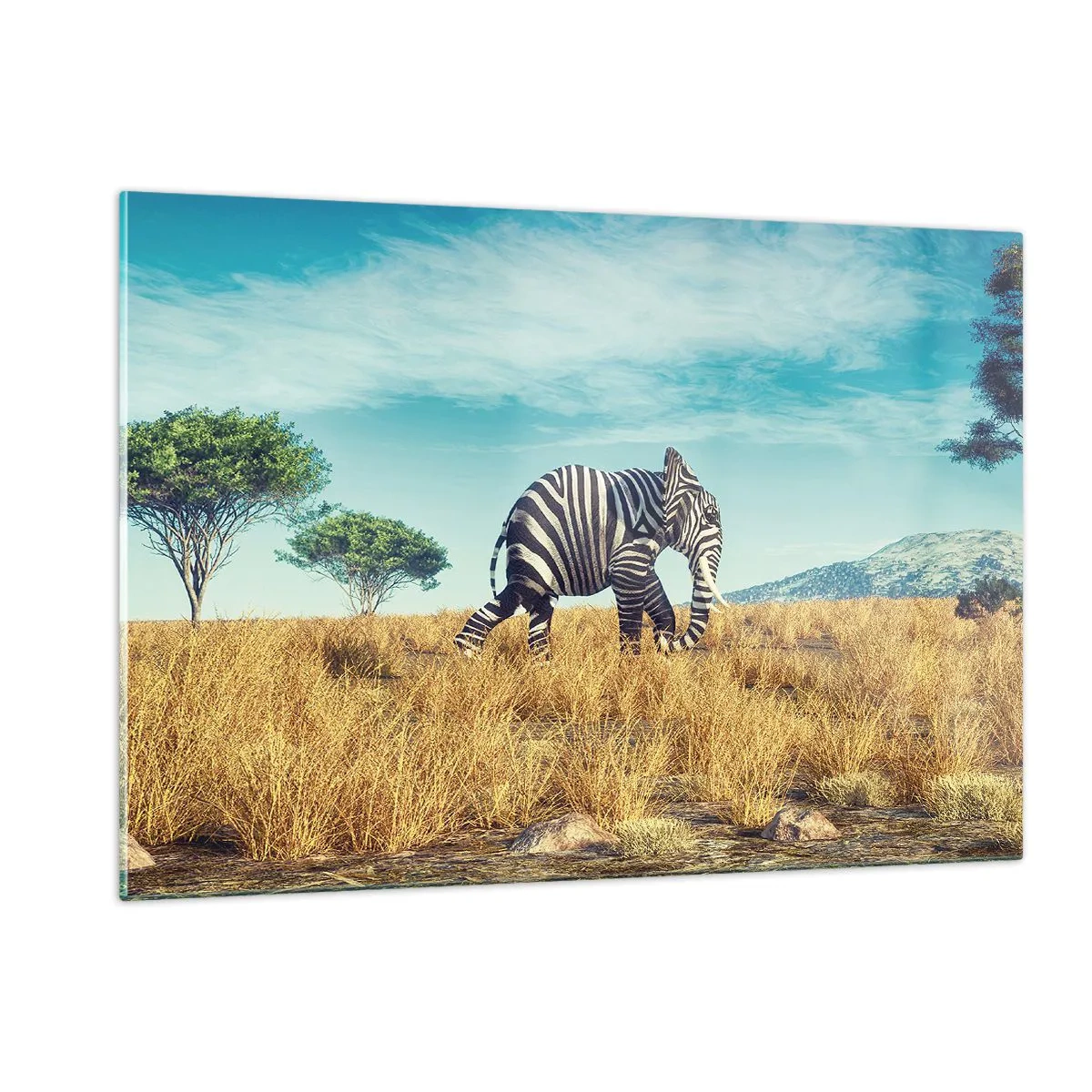 Impression sur verre - Image sur verre - Un éléphant avec des rayures de zèbre dans la savane sous le ciel - 120x80cm - Le gris n'est déjà plus à la mode - Décoration murale moderne pour le salon et la chambre ARTTOR