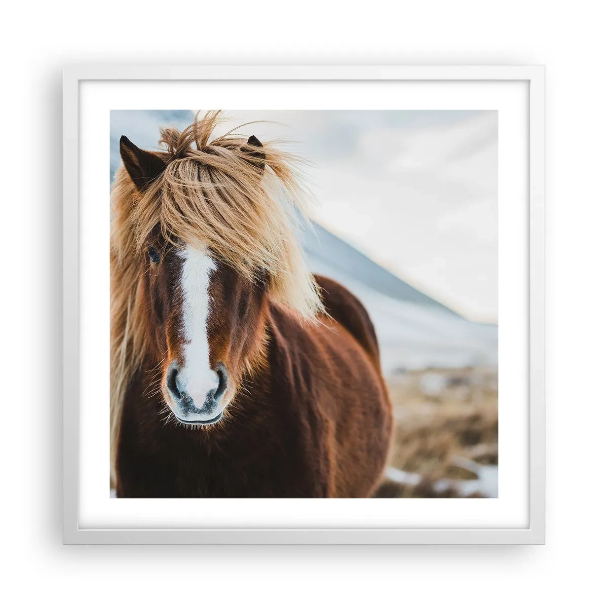 Affiche dans un cadre blanc - Poster - Sentez-vous la liberté ? - 50x50 cm