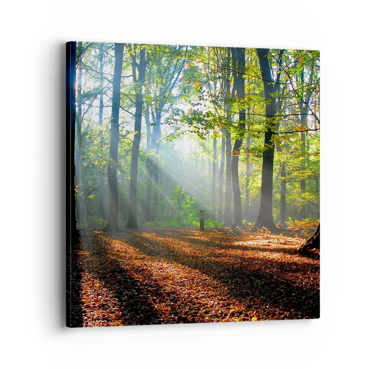 Impression sur toile - Image sur toile - Ombres et lumières - 40x40 cm