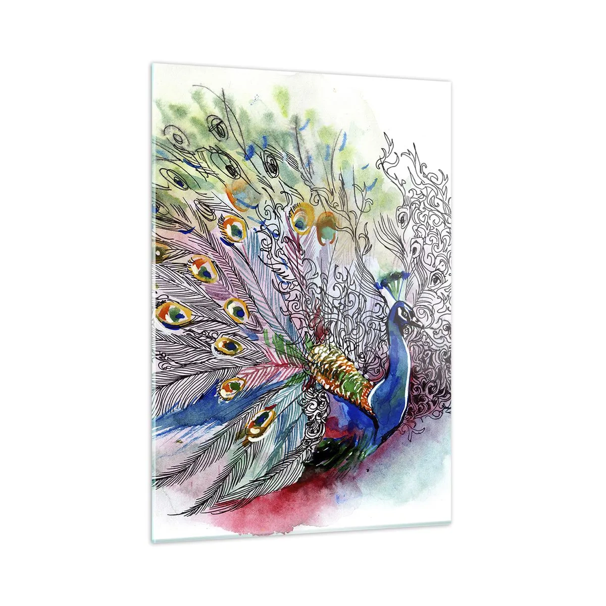 Impression sur verre - Image sur verre - Paon coloré dans un style aquarelle artistique - 50x70cm - Avec fierté contre la grisaille - Décoration murale moderne pour le salon et la chambre ARTTOR