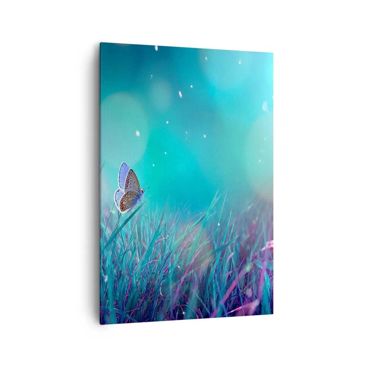 Impression sur toile - Image sur toile - Un papillon sur l'herbe à la lumière de reflets flous - 70x100cm - La vie secrète de la prairie - Décoration murale moderne pour le salon et la chambre ARTTOR