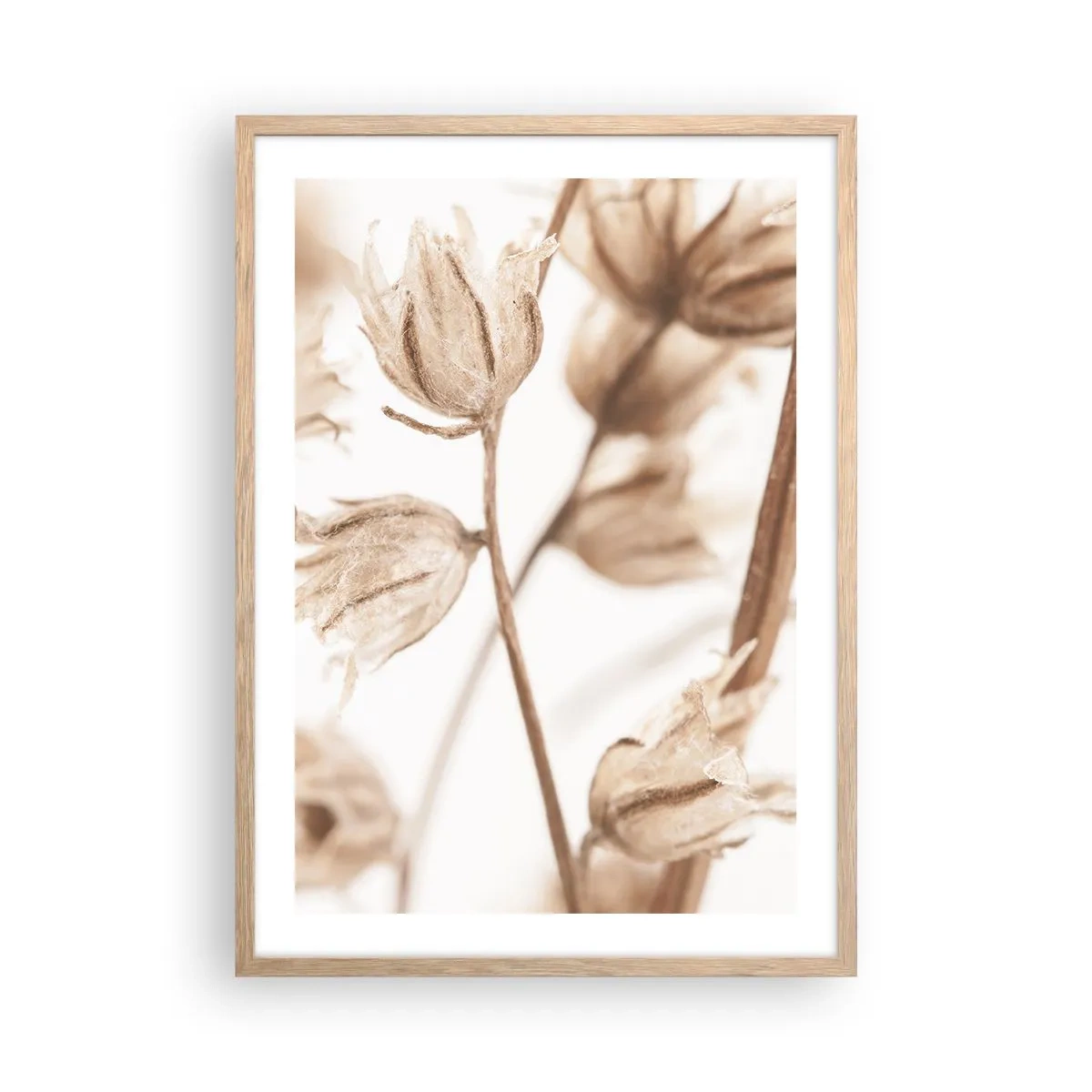 Affiche dans un chêne clair - Poster - Ils appellent à la fin de l'été - 50x70 cm