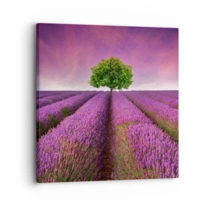 Impression sur toile - Image sur toile - Dans un champs de lavande - 30x30 cm