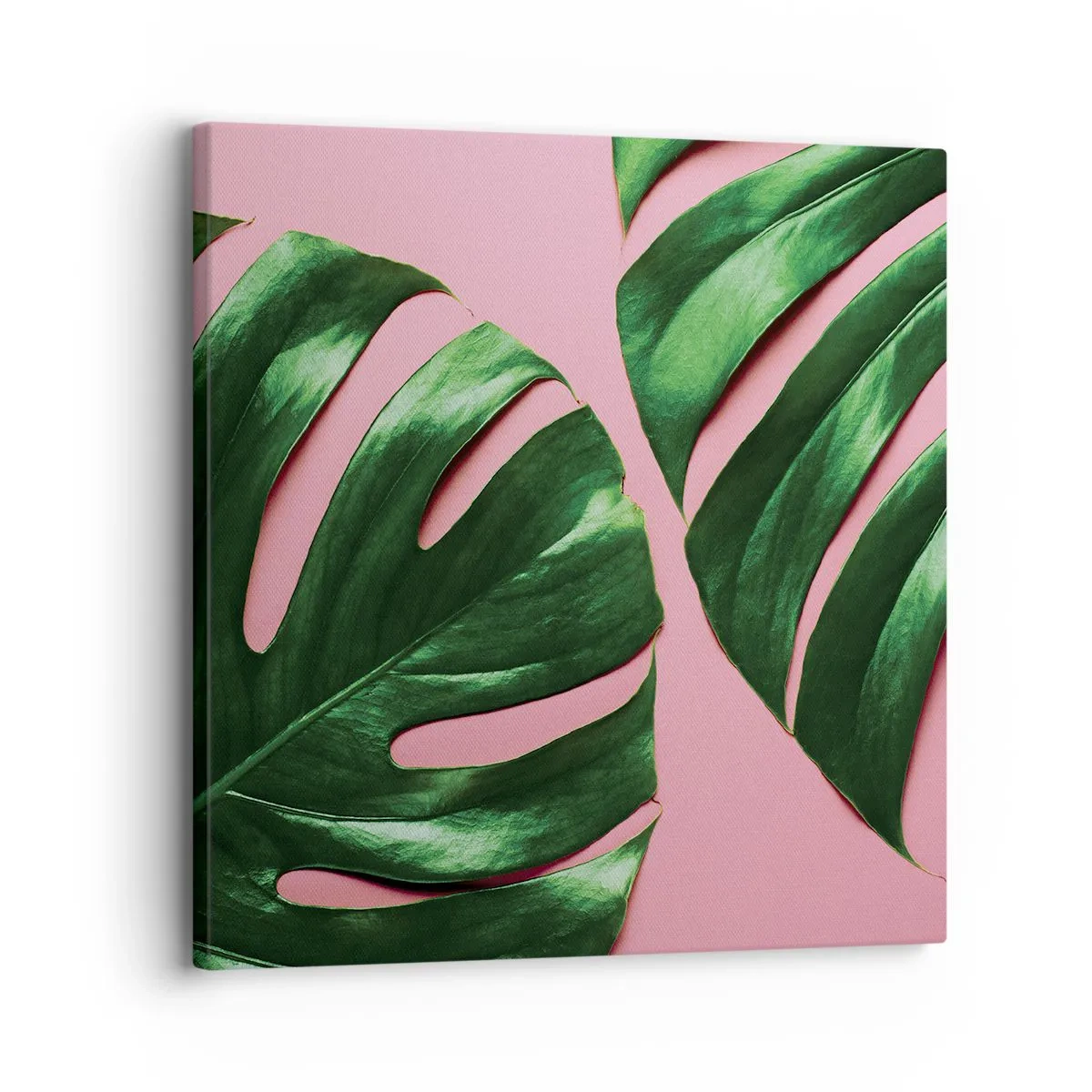 Impression sur toile - Image sur toile - Rendez-vous vert - 30x30 cm