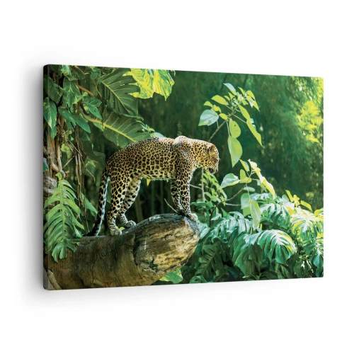 Impression sur toile - Image sur toile - Un léopard debout sur un rocher entouré de végétation tropicale - 70x50cm - À la chasse? - Décoration murale moderne pour le salon et la chambre ARTTOR