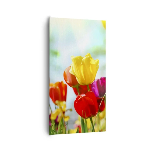 Impression sur toile - Image sur toile - Toutes les couleurs du soleil - 65x120 cm