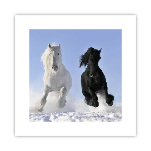 Affiche - Poster - Galop noir et blanc - 30x30 cm