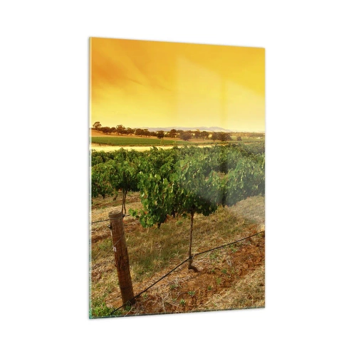 Impression sur verre - Image sur verre - Vignes dans la chaude lumière du soleil couchant - 50x70cm - S'abreuver du soleil - Décoration murale moderne pour le salon et la chambre ARTTOR