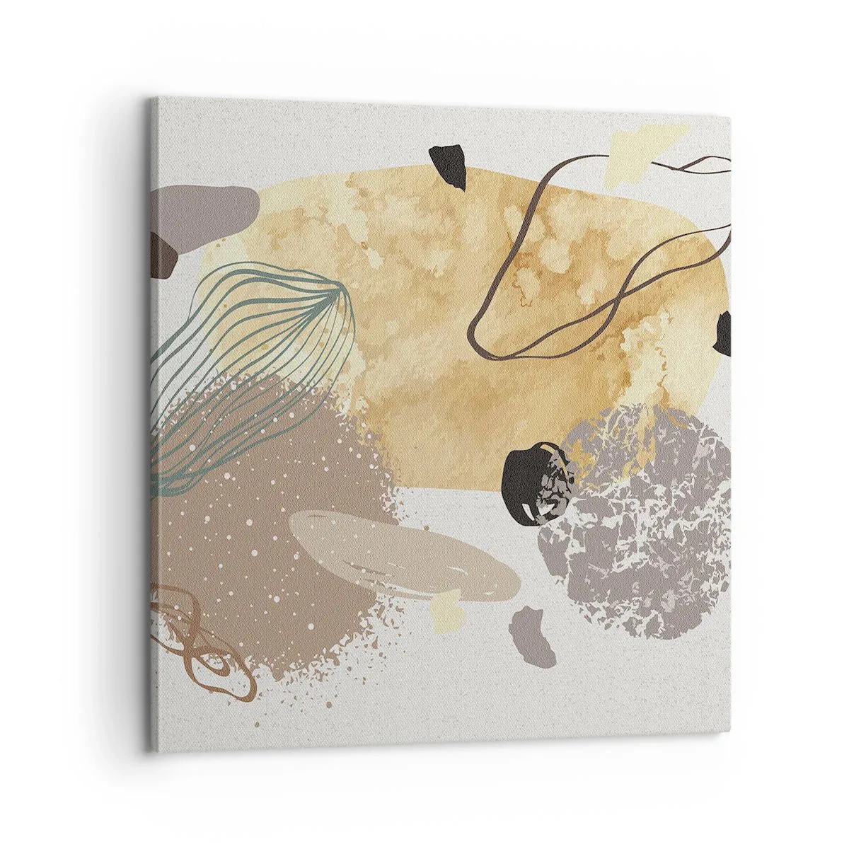 Impression sur toile - Image sur toile - Plumcologie appliquée - 60x60 cm