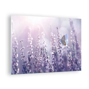 Impression sur verre - Image sur verre - Un papillon dans un champ de lavande au soleil - 70x50cm - Baiser de papillon - Décoration murale moderne pour le salon et la chambre ARTTOR