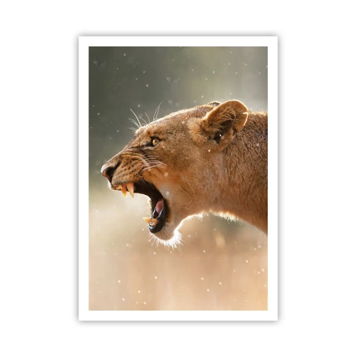 Affiche - Poster - Essayez de ne pas écouter - 70x100 cm