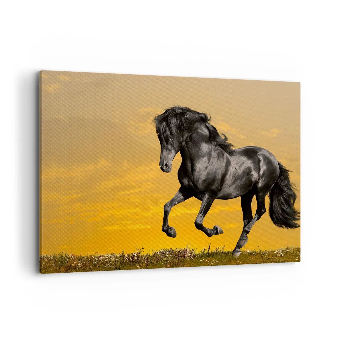 Impression sur toile - Image sur toile - Un cheval noir galope sur fond de coucher de soleil doré. - 100x70cm - Beau, libre et sauvage - Décoration murale moderne pour le salon et la chambre ARTTOR