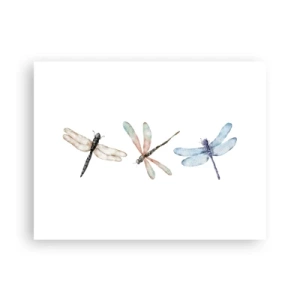 Affiche - Poster - Libellules en apesanteur - 40x30 cm