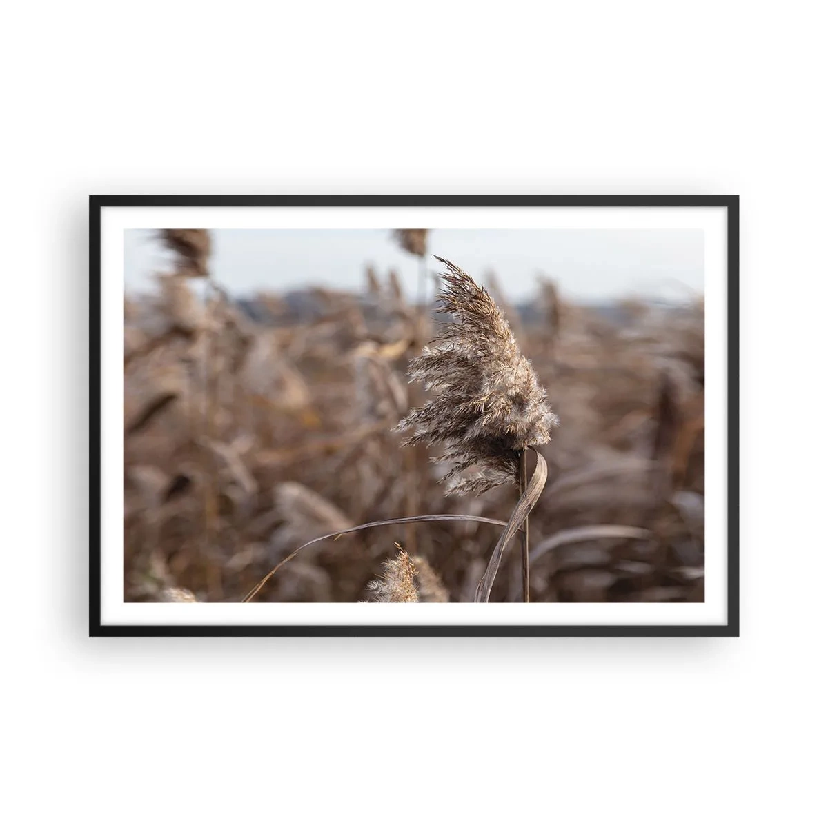 Affiche dans un cadre noir - Poster - Il est temps de s'envoler avec le vent - 91x61 cm