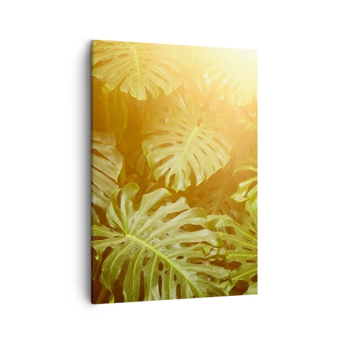 Impression sur toile - Image sur toile - Feuilles de Monstera au soleil sur fond naturel - 50x70cm - Se fondre dans la verdure - Décoration murale moderne pour le salon et la chambre ARTTOR