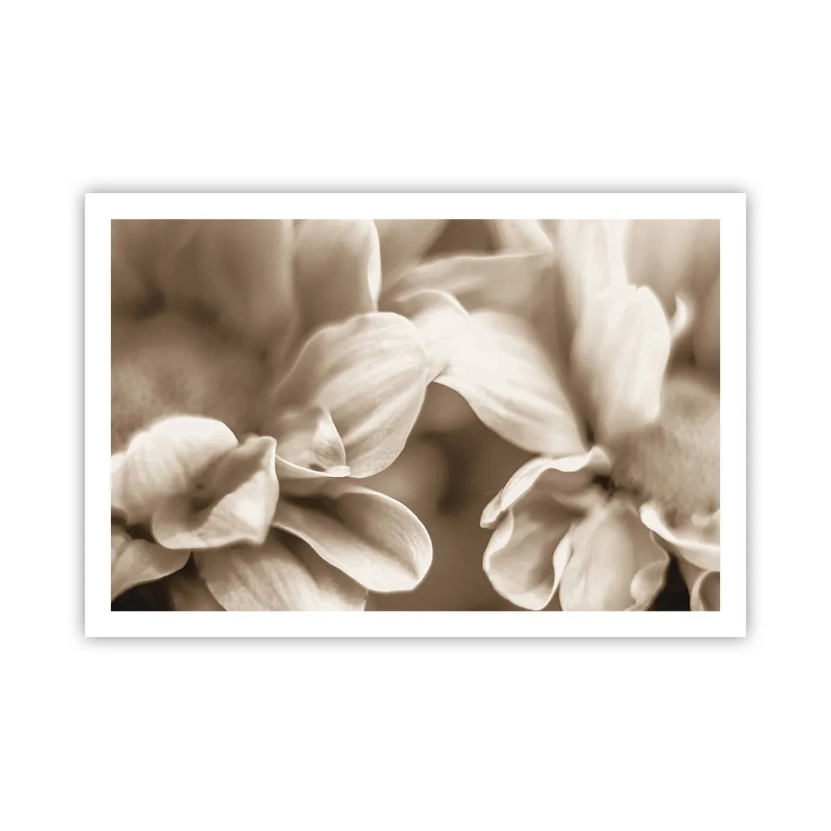 Affiche - Poster - Doux comme un sourire - 91x61 cm