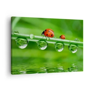 Impression sur toile - Image sur toile - Coccinelles sur un brin d'herbe avec des gouttes de rosée dans un cadre naturel - 70x50cm - Sur la route tout l'été - Décoration murale moderne pour le salon et la chambre ARTTOR