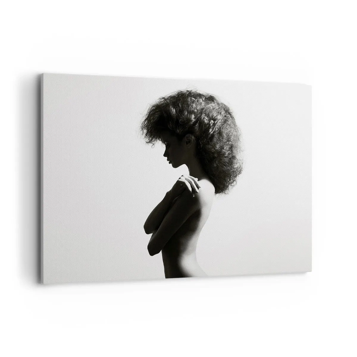 Impression sur toile - Image sur toile - Une silhouette subtile d'une femme dans des tons noirs et blancs sur un fond clair - 100x70cm - Comme une fleur au bout d'une fine tige - Décoration murale moderne pour le salon et la chambre ARTTOR