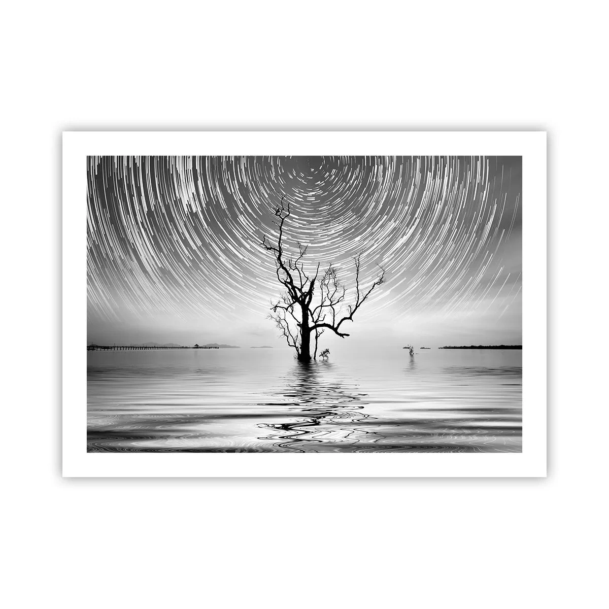 Affiche - Poster - La symphonie de la nature - 70x50 cm