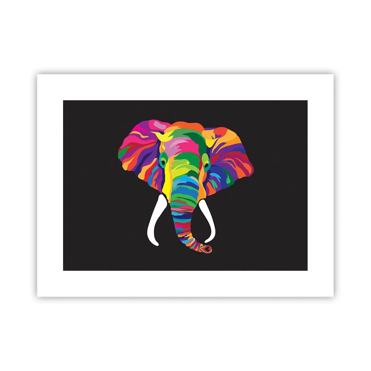 Affiche - Poster - L'éléphant qui aimait se baigner dans un arc-en-ciel - 40x30 cm