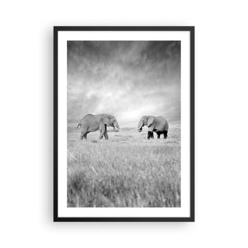 Affiche dans un cadre noir - Poster - Éléphants noirs et blancs dans la savane - 50x70cm - Le gris est beau - Décoration murale moderne pour le salon et la chambre ARTTOR