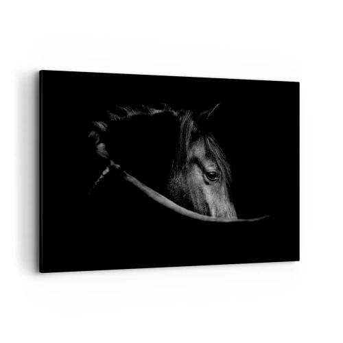 Impression sur toile - Image sur toile - Portrait en noir et blanc d'un cheval avec un jeu subtil de lumière et d'ombre sur un fond sombre. - 120x80cm - Prince Noir - Décoration murale moderne pour le salon et la chambre ARTTOR
