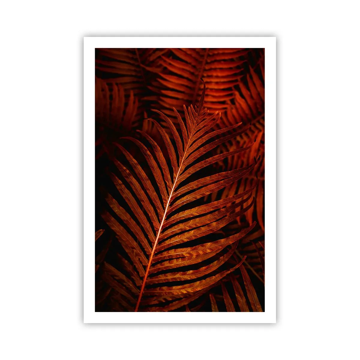 Affiche - Poster - Chaleur de la vie - 61x91 cm