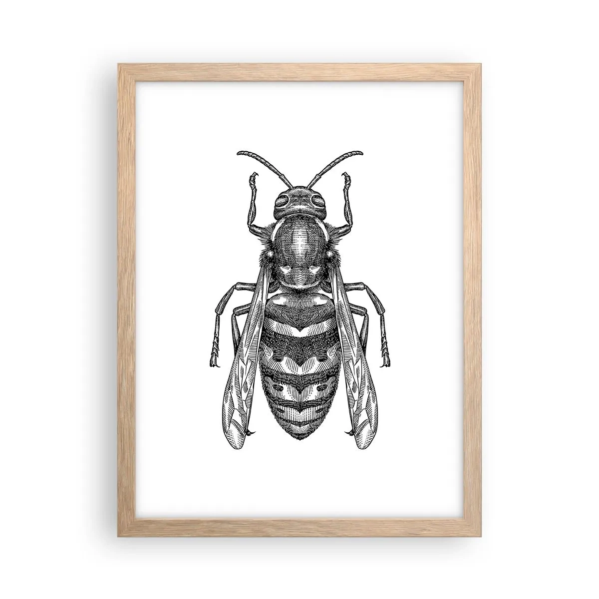 Affiche dans un chêne clair - Poster - D'une planète d'insectes - 30x40 cm