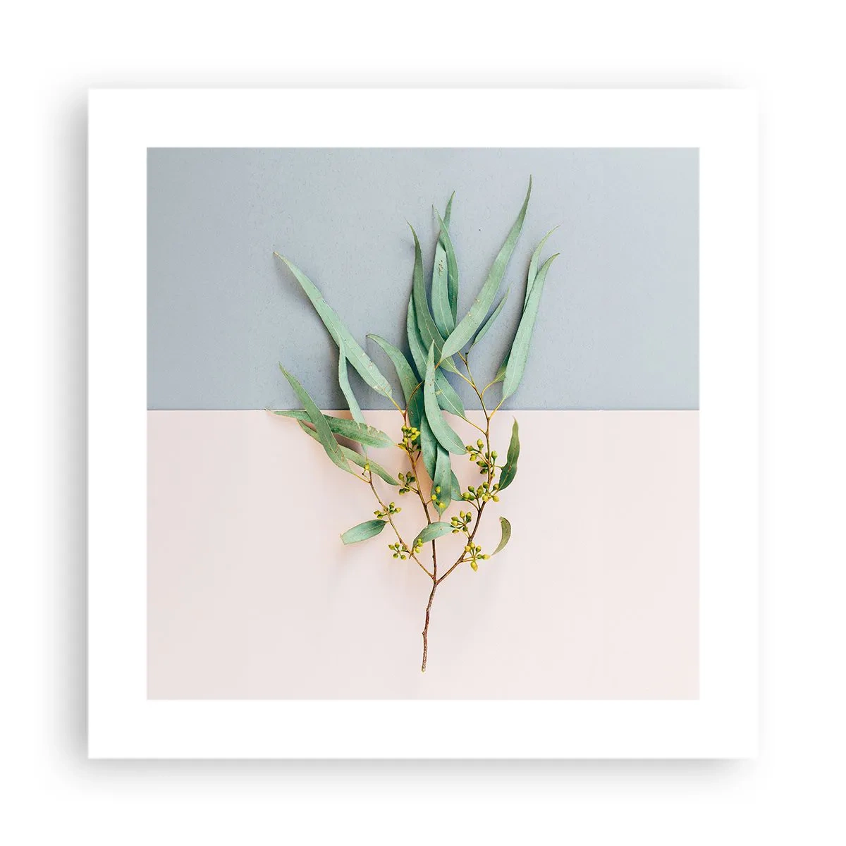 Affiche - Poster - Subtilité pastel - 40x40 cm