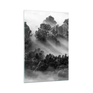 Impression sur verre - Image sur verre - Paysage forestier noir et blanc dans le brouillard du matin - 70x100cm - Sortir de son sommeil - Décoration murale moderne pour le salon et la chambre ARTTOR
