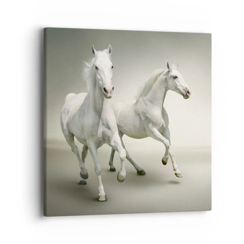 Impression sur toile - Image sur toile - White power! - 40x40 cm