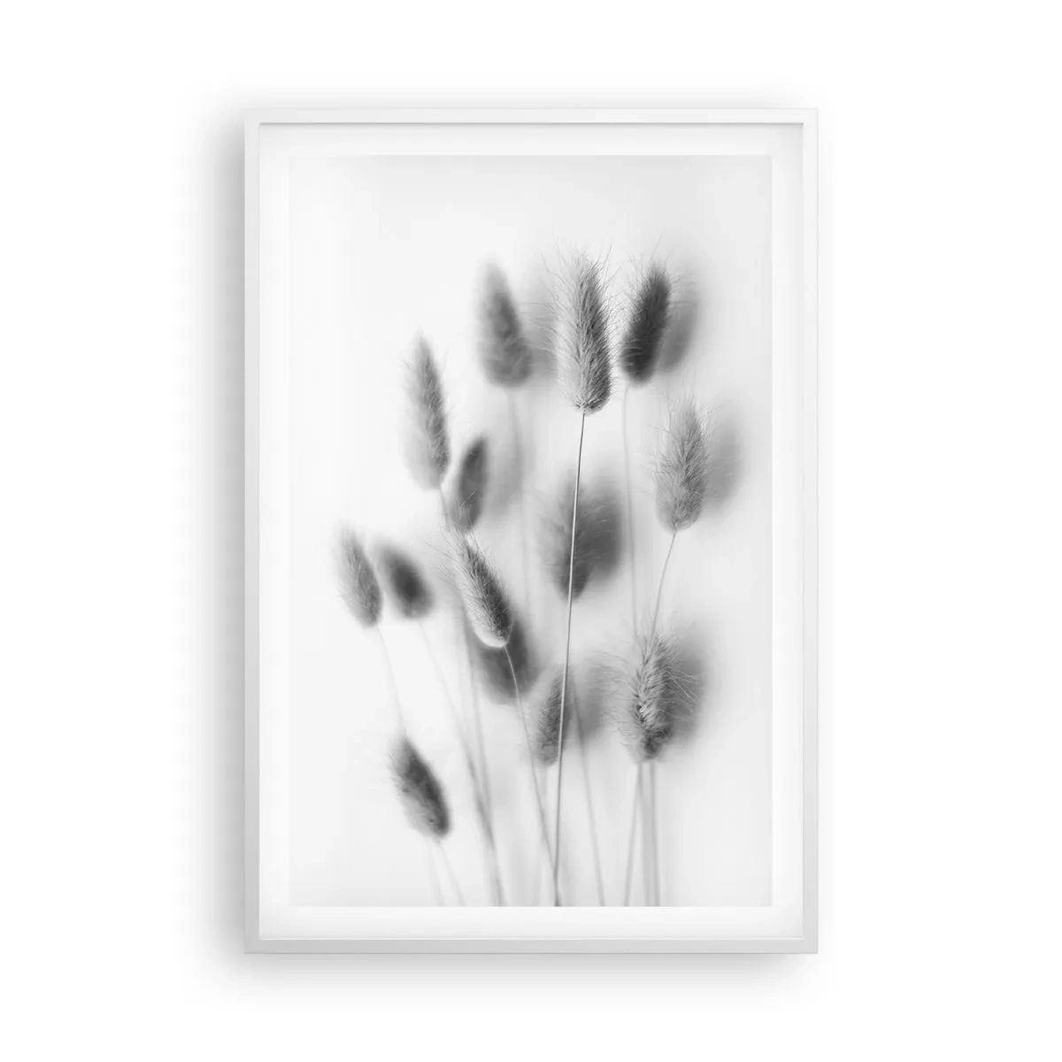 Affiche dans un cadre blanc - Poster - Son herbe duveteuse - 61x91 cm