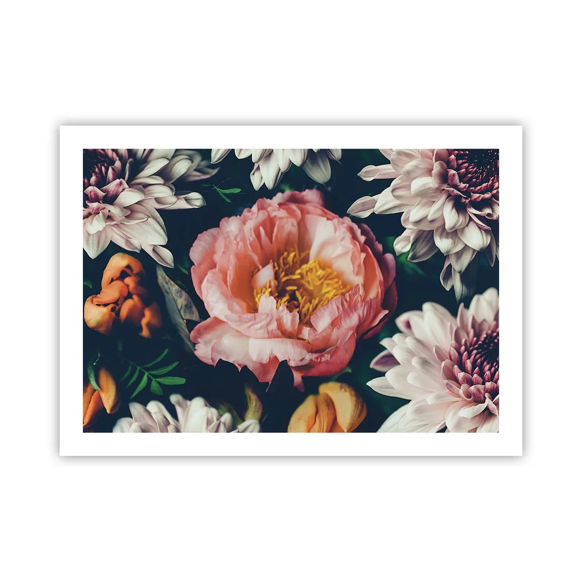 Affiche - Poster - Splendeur baroque - 70x50 cm