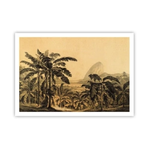 Affiche - Poster - Dessin de bananiers sur fond de paysage tropical - 100x70cm - Dans un climat colonial - Décoration murale moderne pour le salon et la chambre ARTTOR