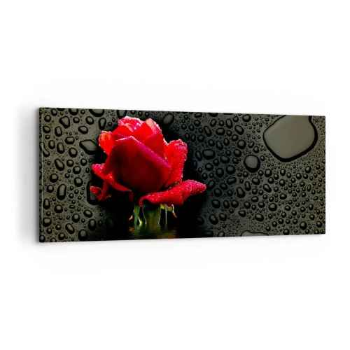 Impression sur toile - Image sur toile - Rouge et noir - 100x40 cm