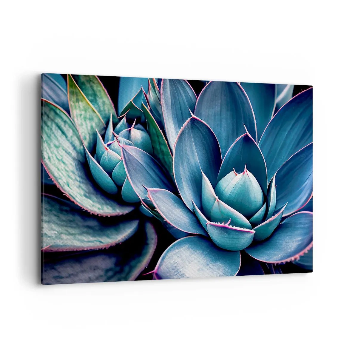 Impression sur toile - Image sur toile - Agave dans des tons de bleu et de vert avec des accents roses - 100x70cm - Force vital - Décoration murale moderne pour le salon et la chambre ARTTOR
