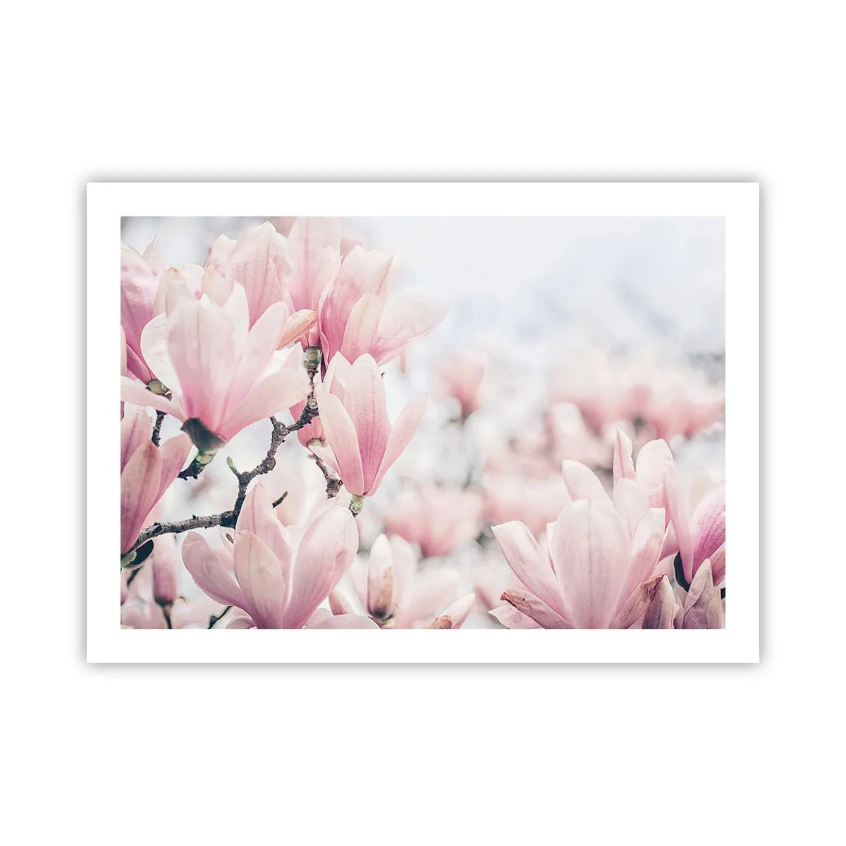 Affiche - Poster - Idéal de la subtilité - 70x50 cm