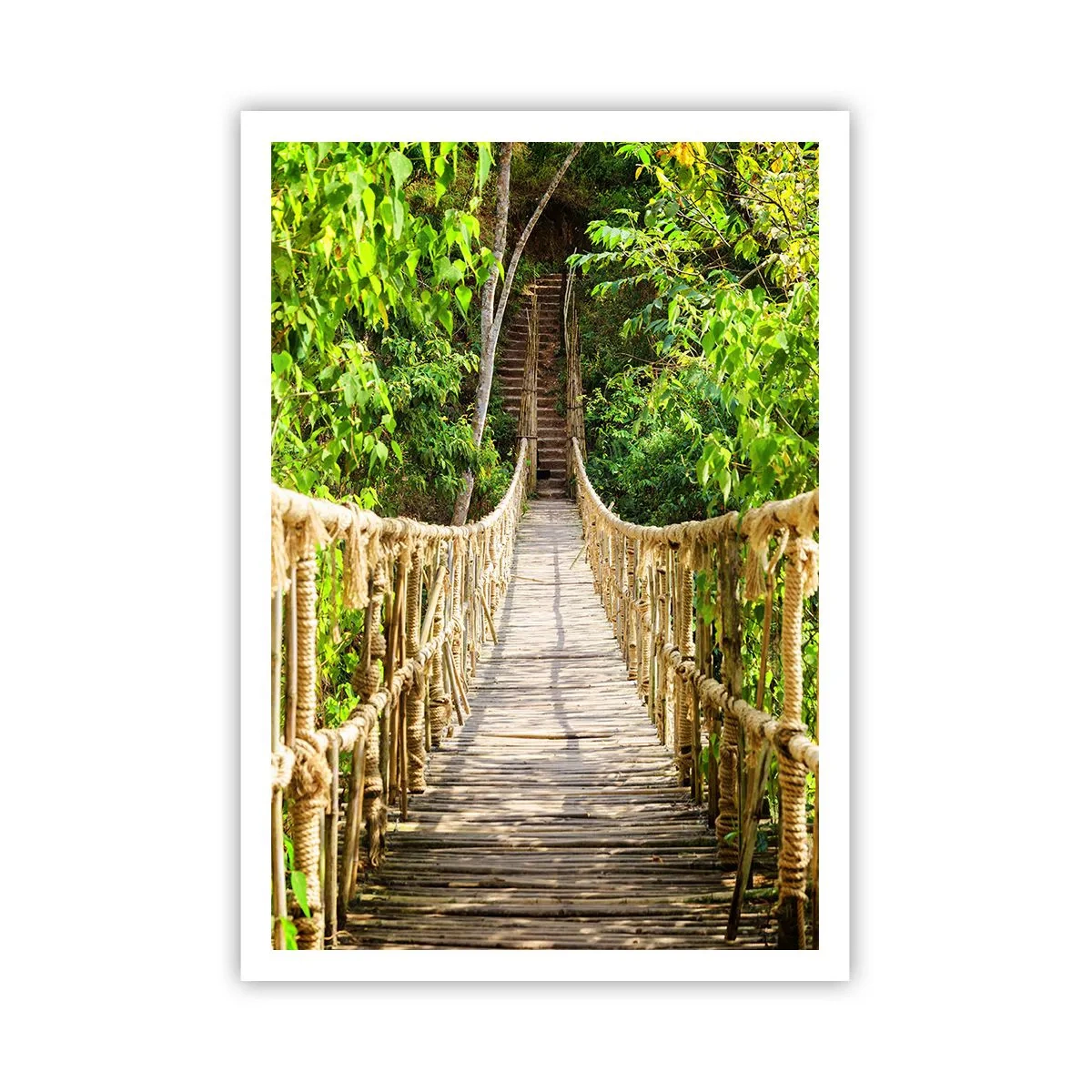 Affiche - Poster - Suspendu dans la nature - 70x100 cm