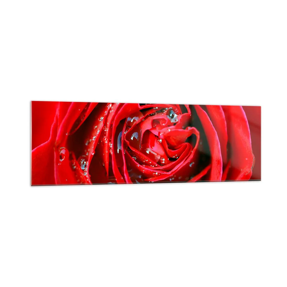 Impression sur verre - Image sur verre - Gros plan d'une rose rouge avec des gouttes d'eau sur les pétales - 160x50cm - Dans les gouttes de rosée - Décoration murale moderne pour le salon et la chambre ARTTOR
